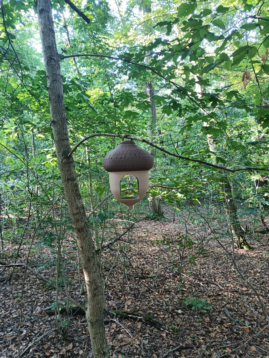 Acorn bird house view 2