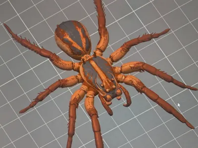 wolf spider