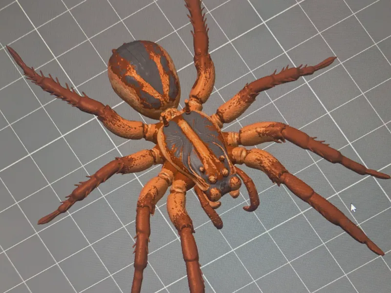 wolf spider
