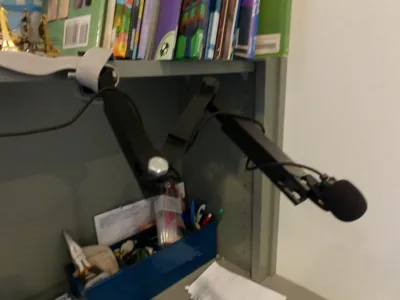 Microphone Boom