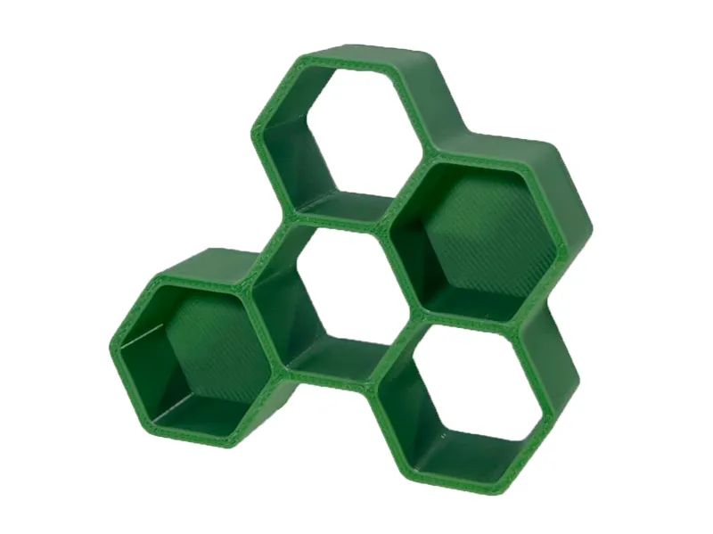 Large Hexagonal Jumping Spider Hide/Decoration