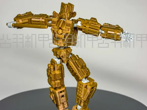 https://makerworld.bblmw.com/makerworld/model/USadf0793c4213a9/design/2024-08-21_2f3ce638a88b9.png