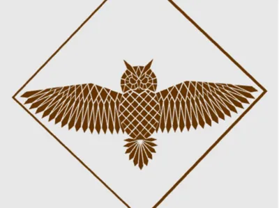 Owl - Print on tulle mesh. For clothing.
