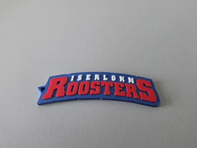 Keyholder Iserlohn Roosters