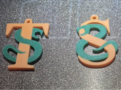 Taylor Swift Snake Earrings