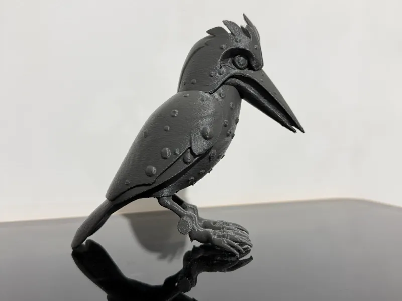 Kookaburra