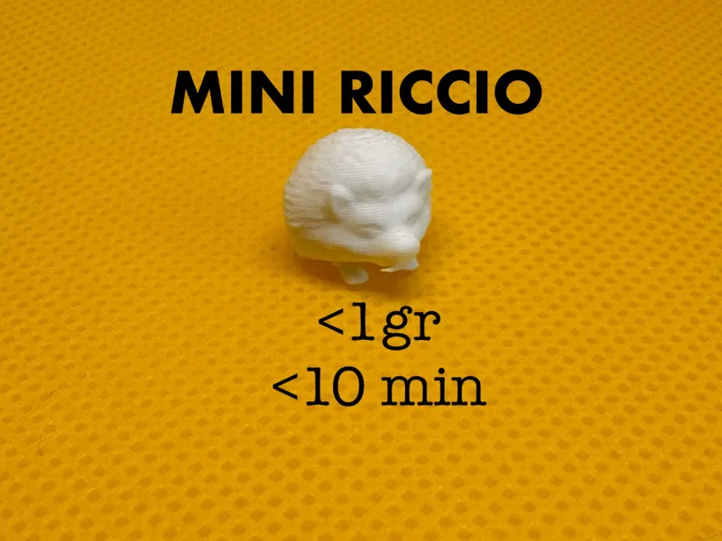 mini riccio - 1 gr - 10 minuti