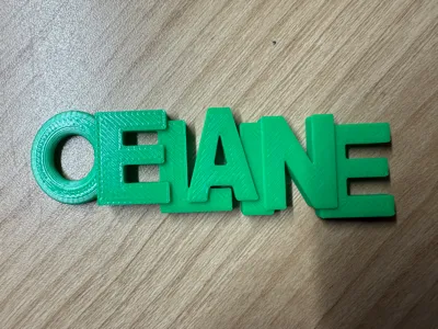 Elaine keyring