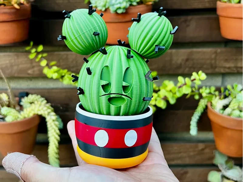 Potted Mickey Mouse Thorny Cactus Decoration