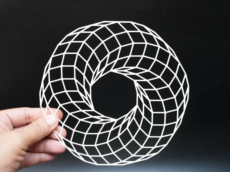 Infinity Twisted Wireframe Torus Mathematical Art
