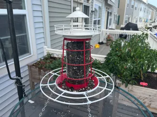 Bird Feeder Perch Ring