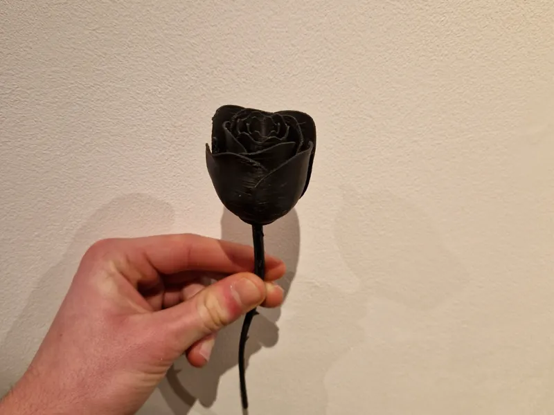 Rose with stem - Valentin's day