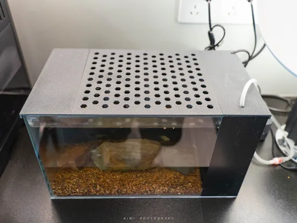 https://makerworld.bblmw.com/makerworld/model/USae113a76ce1848/design/2024-09-08_d108651afaa5e.jpg