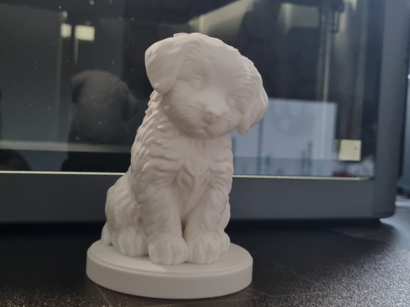 Cute Puppy