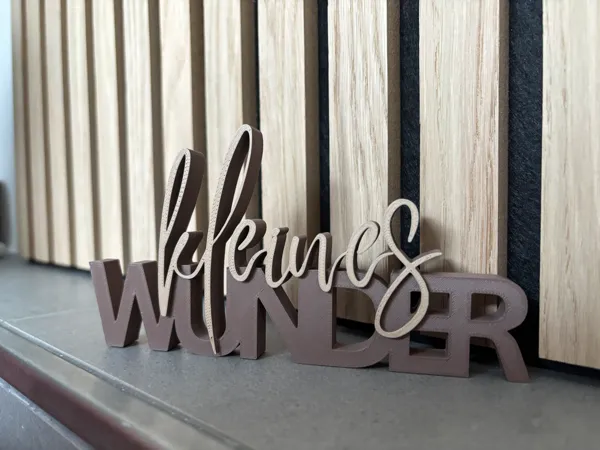 https://makerworld.bblmw.com/makerworld/model/USae143311930851/design/2026-01-11_de9f40d3710e78.jpg