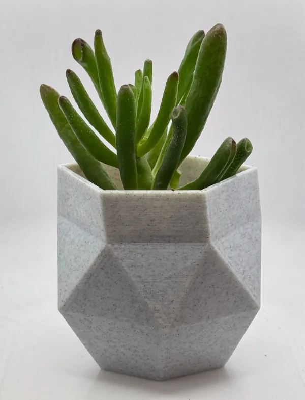 https://makerworld.bblmw.com/makerworld/model/USae149f00e1cf26/design/2024-12-01_7008ccc33fdab.jpg