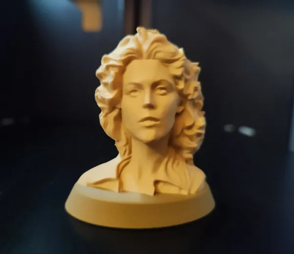 https://makerworld.bblmw.com/makerworld/model/USae16aa2942ecbb/design/2024-12-29_4339d9014cdf8.jpg