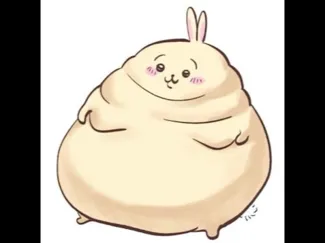 Fat Usagi