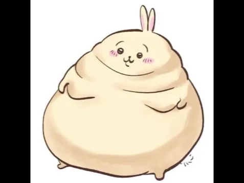 Fat Usagi