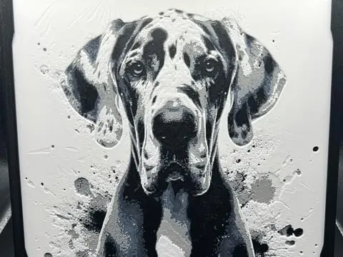Great Dane