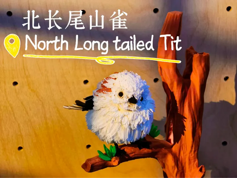 Siberian Tit北长尾山雀打印模型