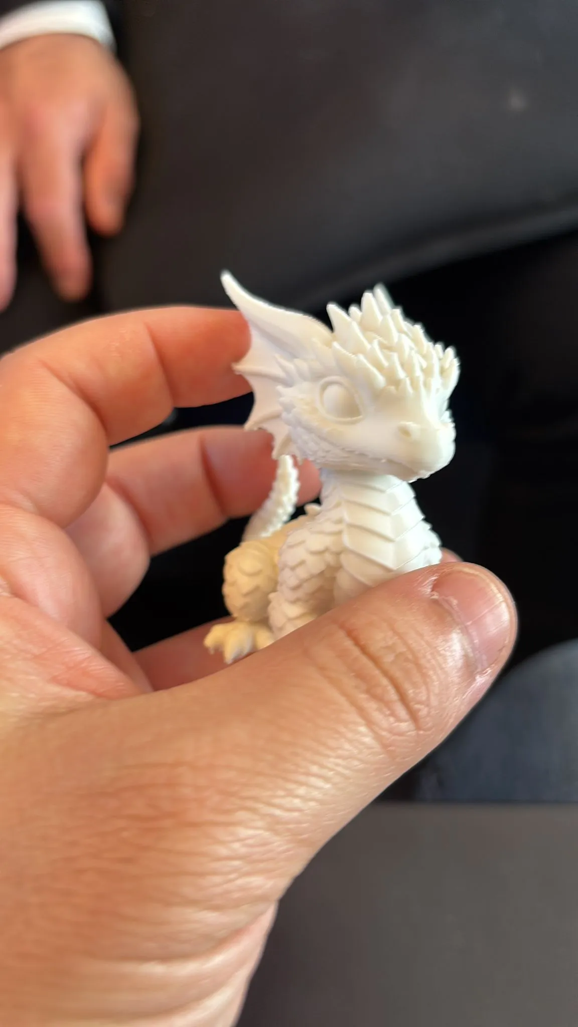 The Dragon Child view 2