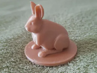 Rabbit