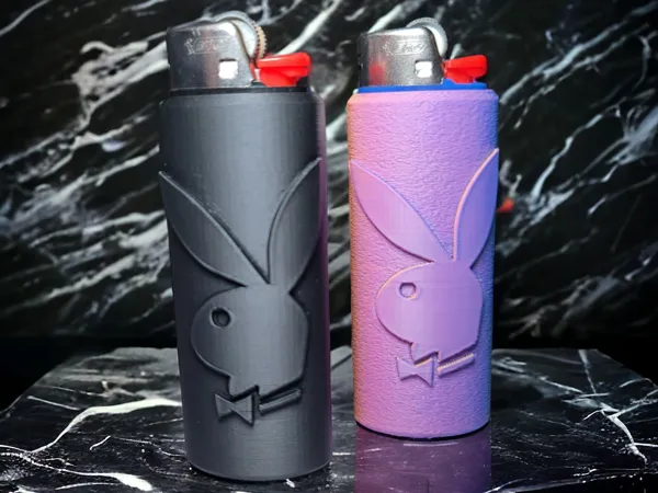 https://makerworld.bblmw.com/makerworld/model/USae2a5091be5a19/design/2025-01-24_0cedccbae1fed.png