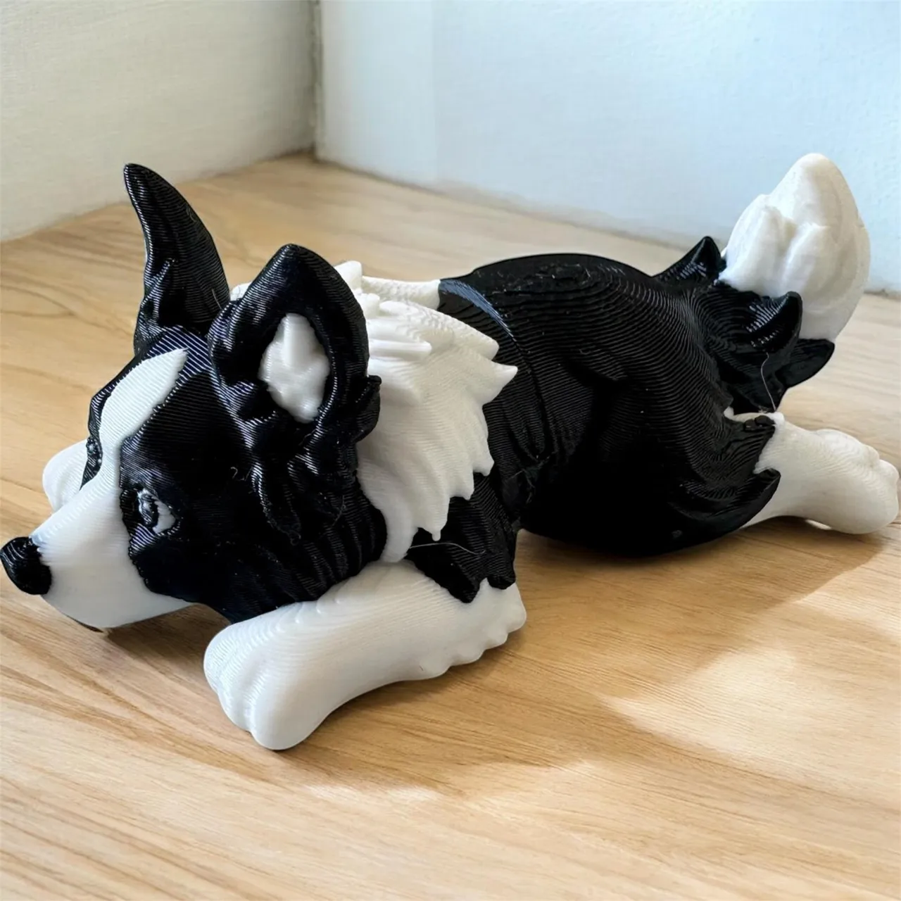 Mini Flexi Border Collie Puppy view 2