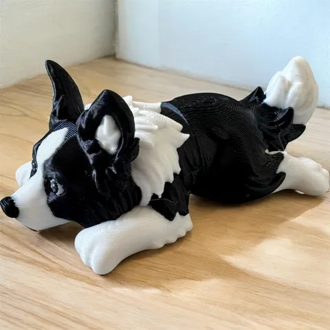 Mini Flexi Border Collie Puppy view 2