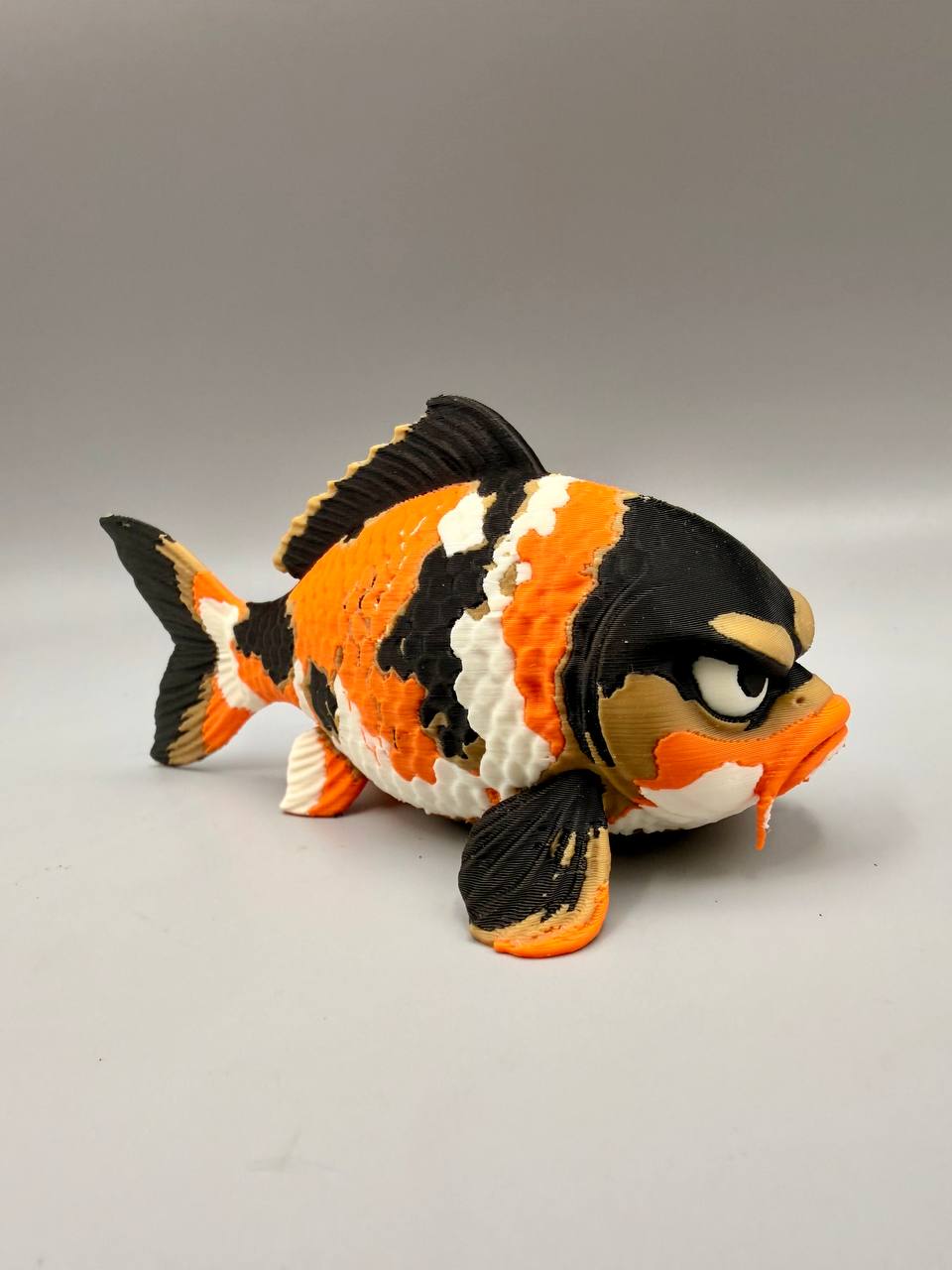 Grumpy Koi Carp - 1