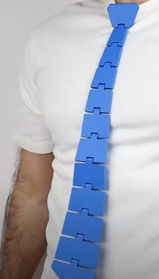 https://makerworld.bblmw.com/makerworld/model/USae3392bc10d185/design/2024-12-12_25bfdfc732c9c.jpg