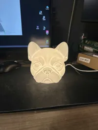 0.2mm layer, 3 walls, 10% infill