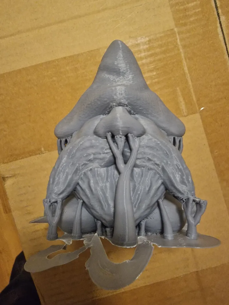 GNOME WIZARD