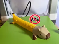 Without AMS