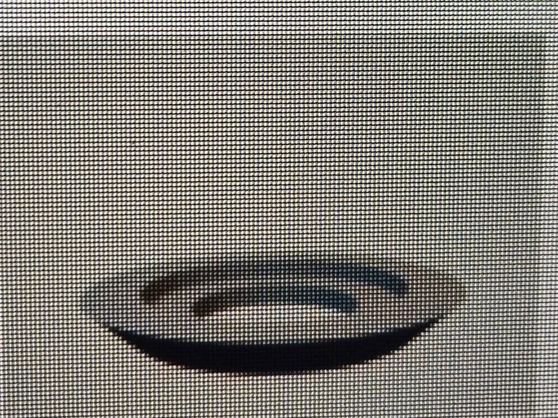Volvo Window Crank Escutcheon
