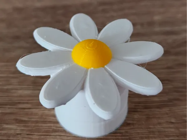 https://makerworld.bblmw.com/makerworld/model/USae411c7c0fab1d/design/2026-01-10_d3f89d0786dda.jpg