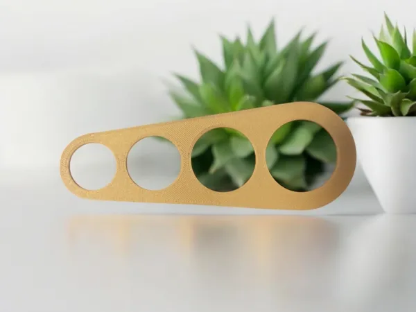 https://makerworld.bblmw.com/makerworld/model/USae41cf8c84156b/design/2025-01-13_396c4ed353416.png