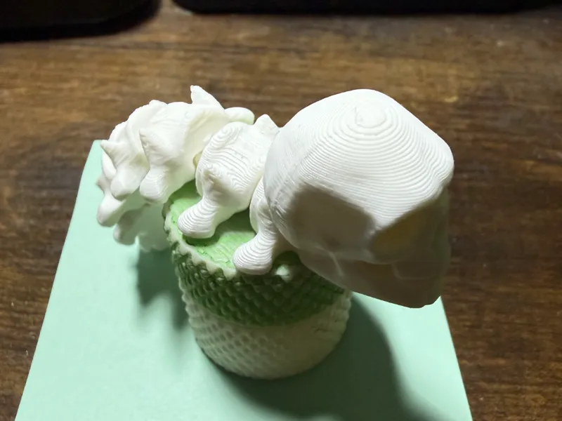 Flexi Skull 'n' Spine