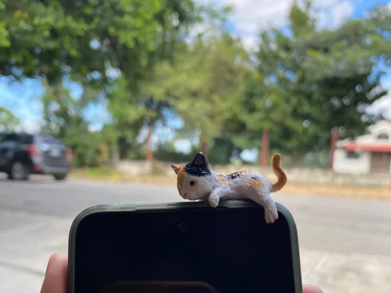 Gato para decoración de funda de teléfono