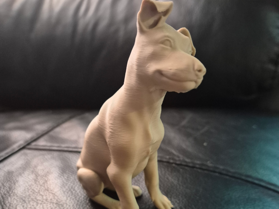 Belgium Malinois puppy