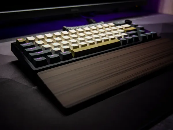 https://makerworld.bblmw.com/makerworld/model/USae4ea9075e8adb/design/2025-06-05_c4ce26fdca632.jpg