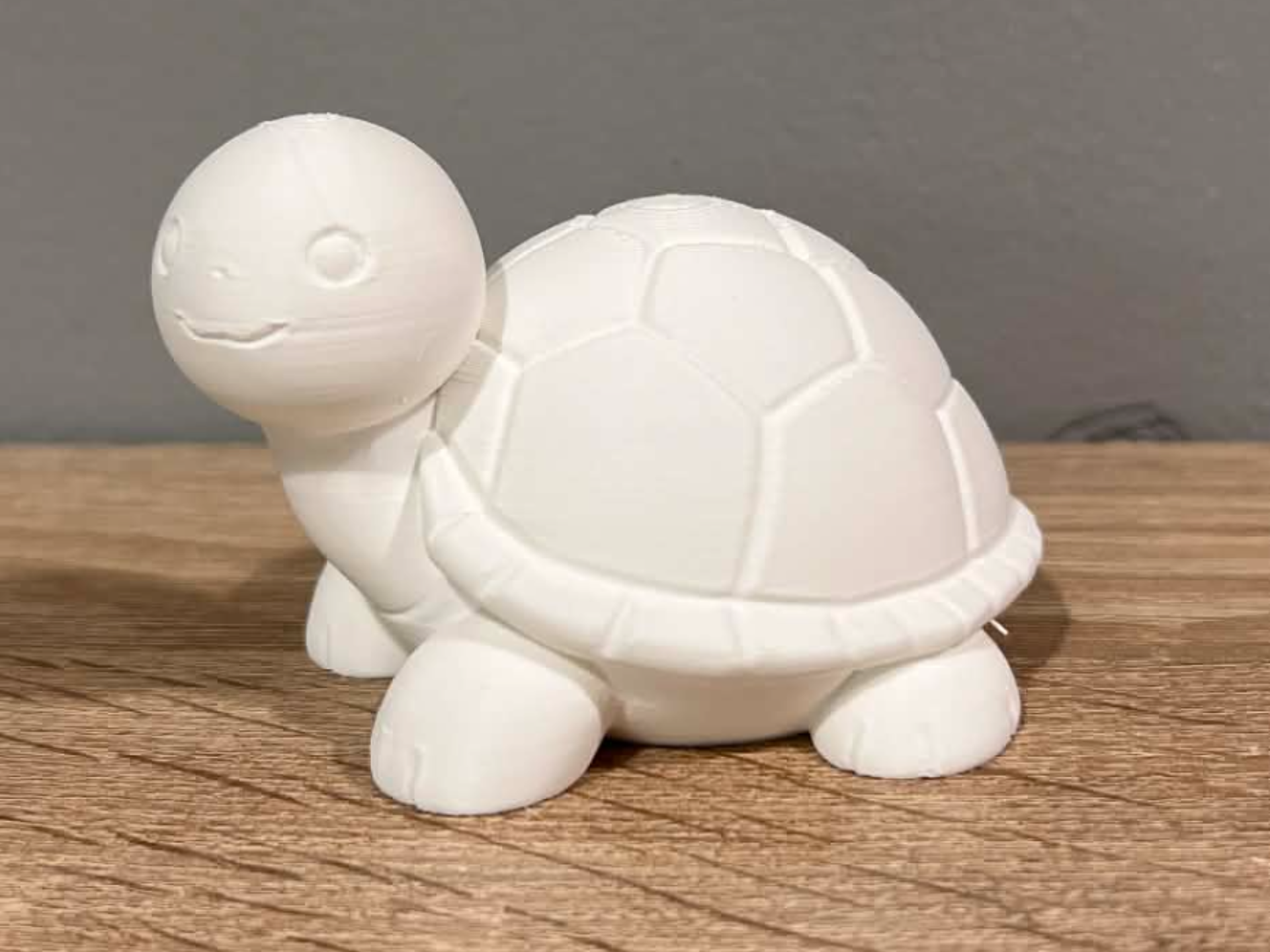 Simply & Cute - Turtle - Decoration