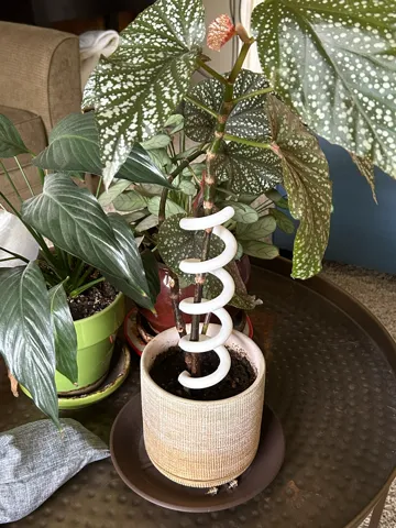 Soporte: Plant Support – Simple, Adjustable, Plant-Friendly — vista de referencia 2