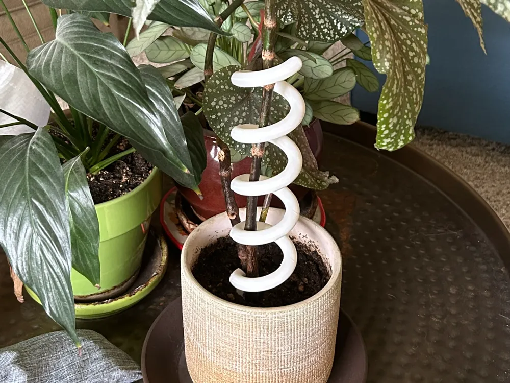 Soporte: Plant Support – Simple, Adjustable, Plant-Friendly. Referencia del modelo original.