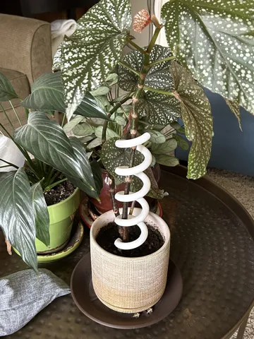 Soporte: Plant Support – Simple, Adjustable, Plant-Friendly — vista de referencia 3