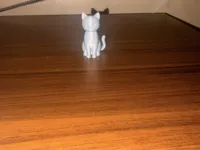 Cute Cat