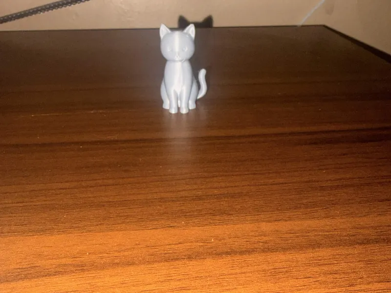 Cute Cat
