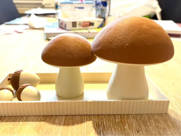 https://makerworld.bblmw.com/makerworld/model/USae6a1ad53b1347/design/2025-10-19_792c375a59eec8.jpg