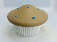 Solid version - 0.2mm layer, 2 walls, 15% infill
